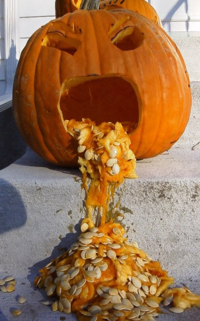 puddingtane is vomit