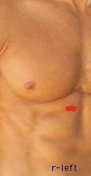 tit for tat merely a male model
